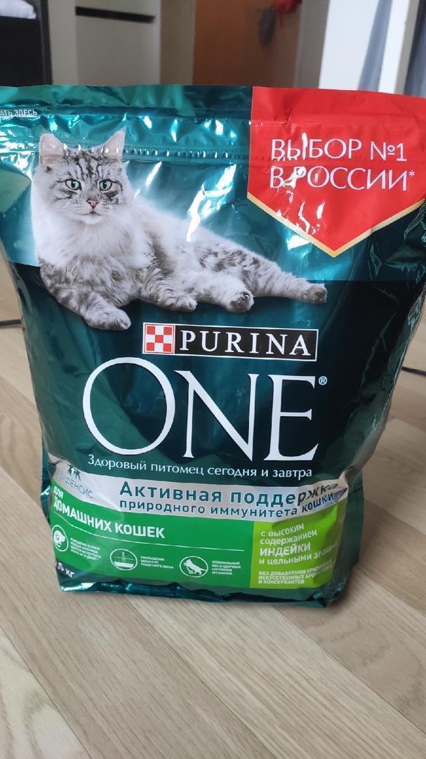 Недорогой качественный корм для кошек